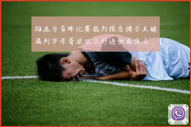 雄鹿与黄蜂比赛裁判报告揭示关键漏判字母哥进攻三秒违例成焦点