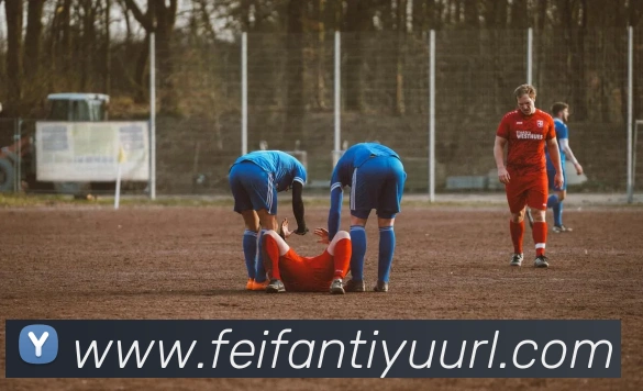 非凡体育平台生态图