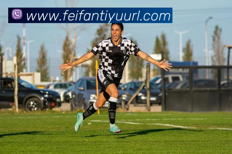 非凡体育APP 封面图